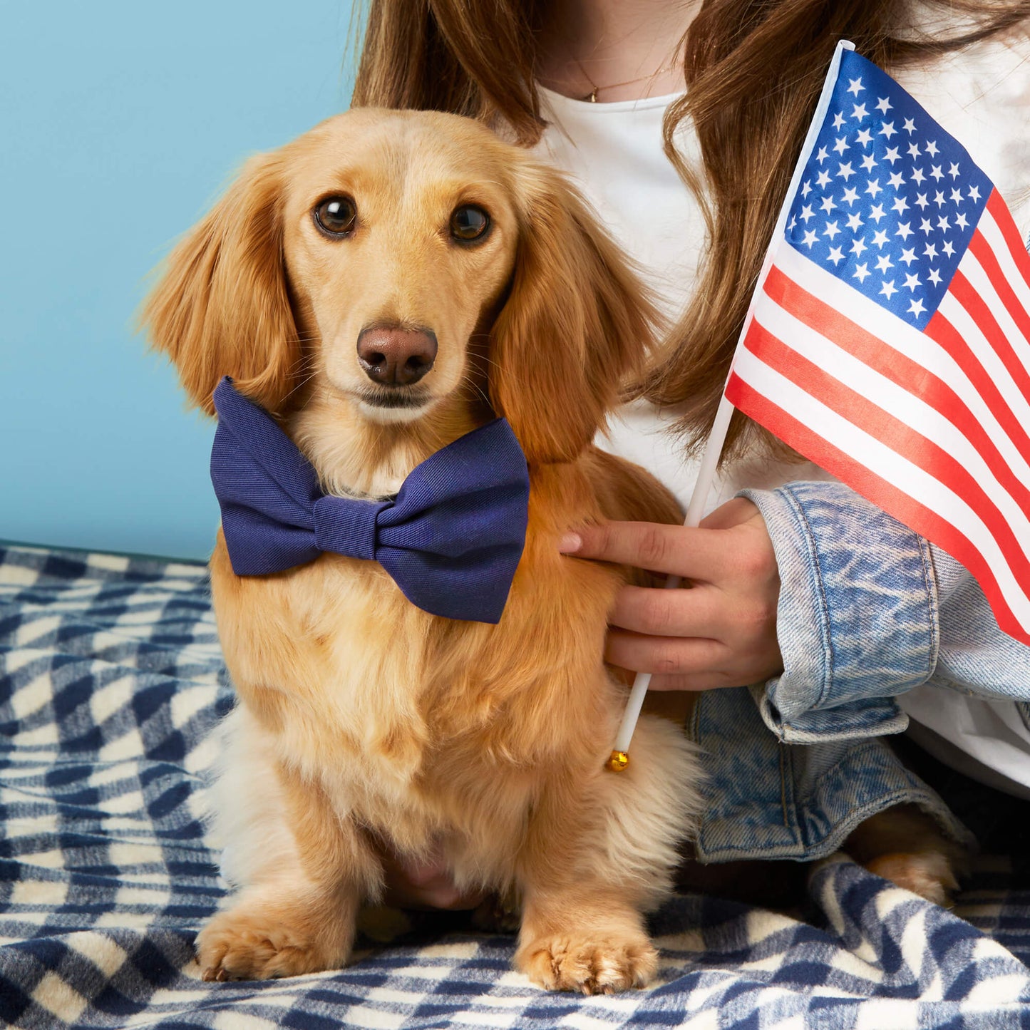 Navy Gingham Dog Blanket