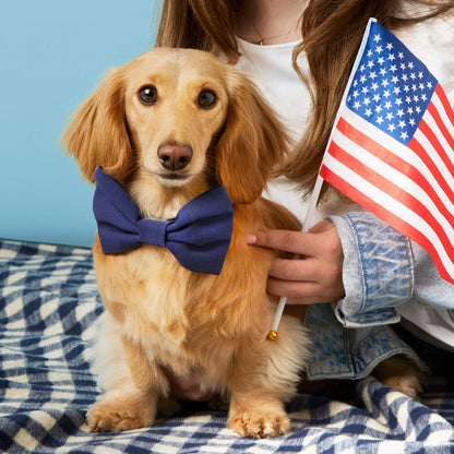 Navy Gingham Dog Blanket