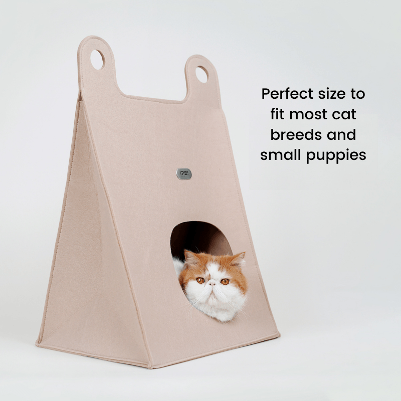 Tote Bag Style Cat Bed And Scratcher