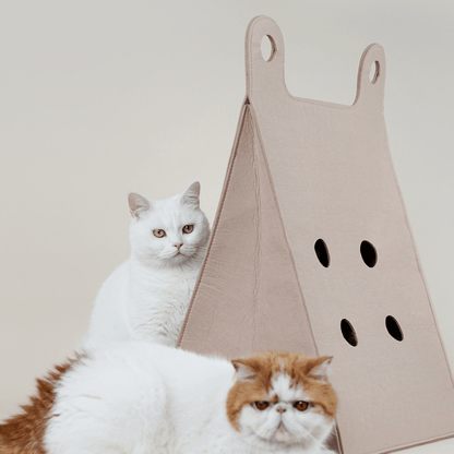 Tote Bag Style Cat Bed And Scratcher