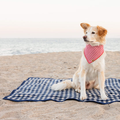 Navy Gingham Dog Blanket
