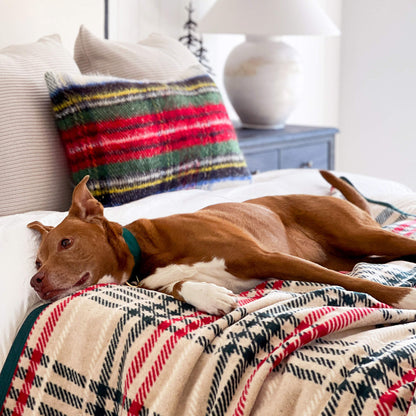 Harborview Herringbone Tan Dog Blanket