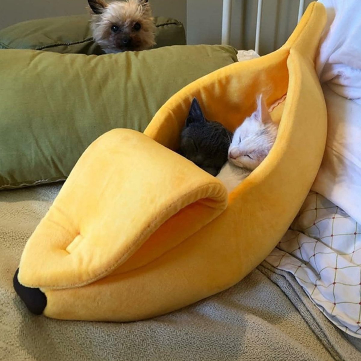 Fully Covered Banana Cat Bed