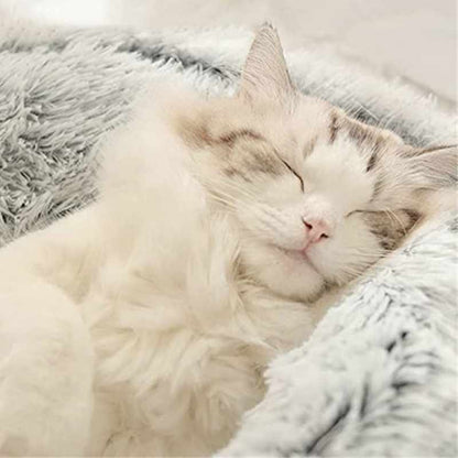 Soft Plush Pet Cave Bed for Small Cats & Dogs
